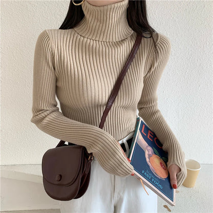 2024 Winter Knitted Turtleneck Sweater