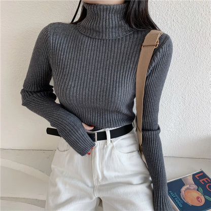 2024 Winter Knitted Turtleneck Sweater