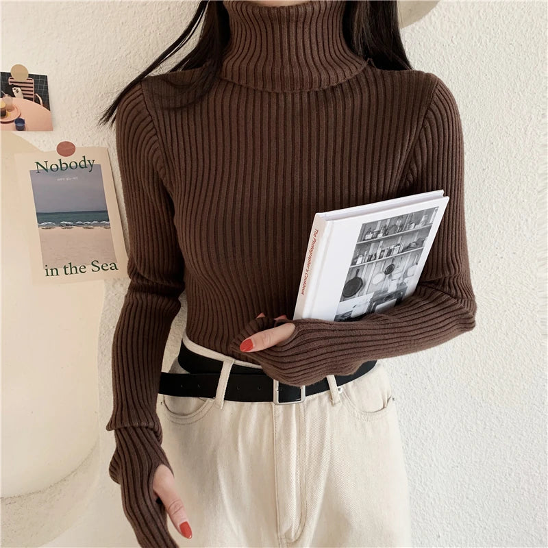 2024 Winter Knitted Turtleneck Sweater