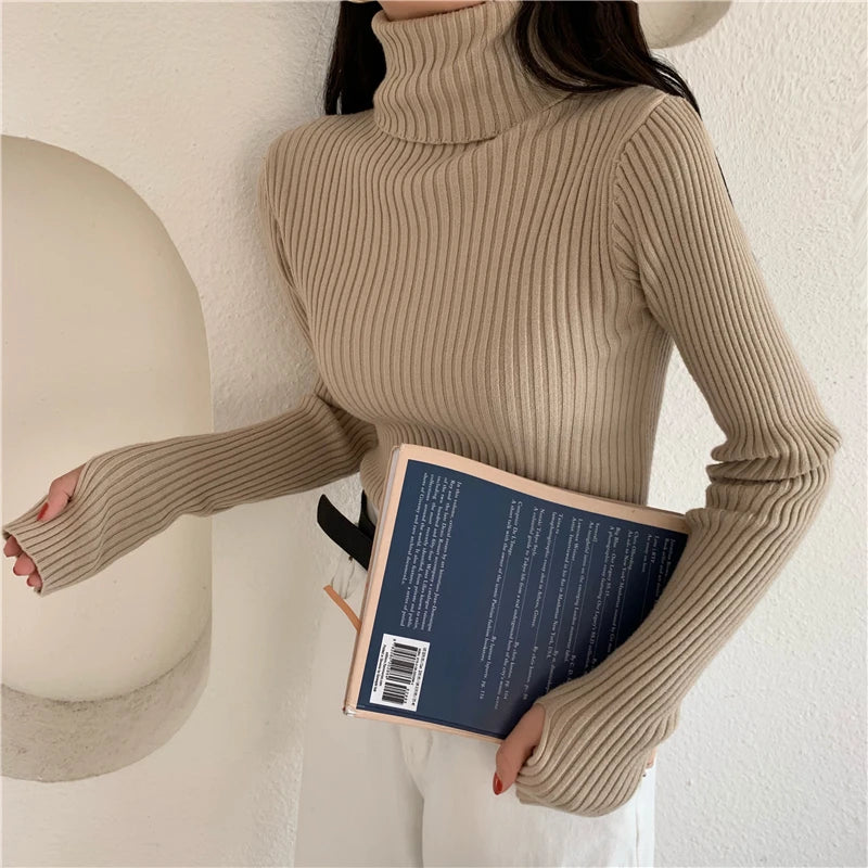 2024 Winter Knitted Turtleneck Sweater