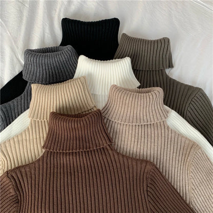 2024 Winter Knitted Turtleneck Sweater