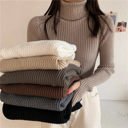 2024 Winter Knitted Turtleneck Sweater