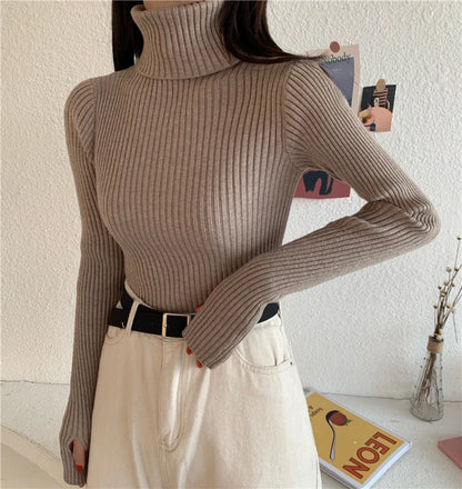 2024 Winter Knitted Turtleneck Sweater