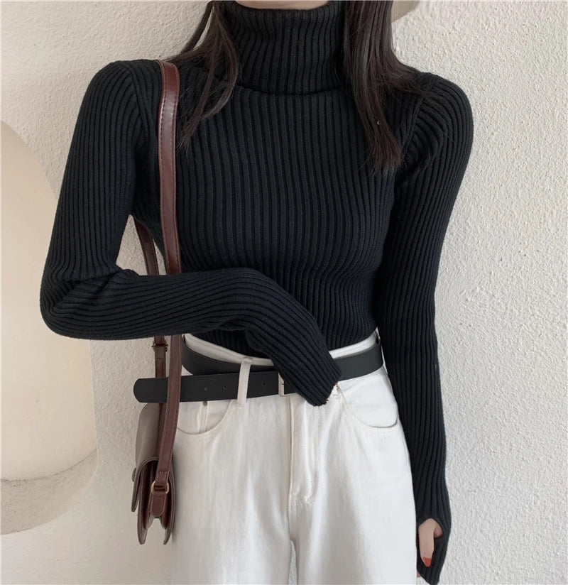 2024 Winter Knitted Turtleneck Sweater