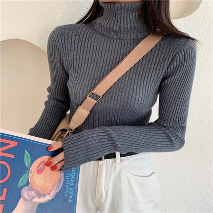 2024 Winter Knitted Turtleneck Sweater