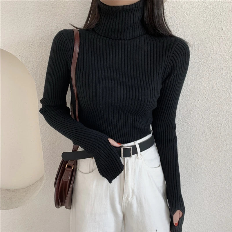 2024 Winter Knitted Turtleneck Sweater