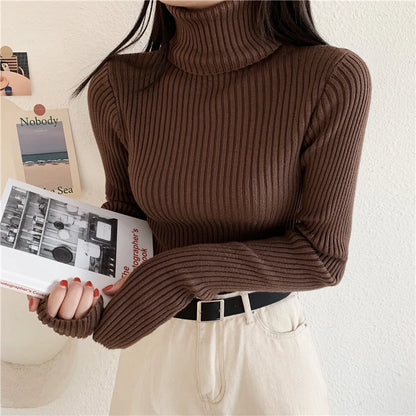 2024 Winter Knitted Turtleneck Sweater