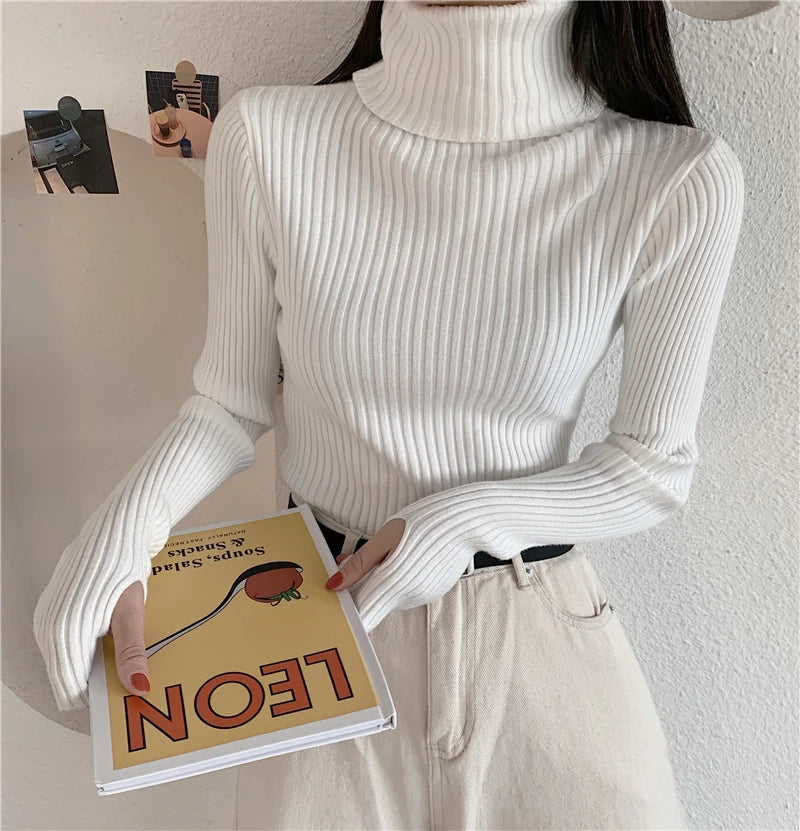 2024 Winter Knitted Turtleneck Sweater