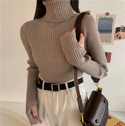 2024 Winter Knitted Turtleneck Sweater