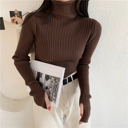 2024 Winter Knitted Turtleneck Sweater