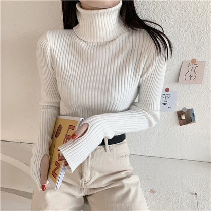 2024 Winter Knitted Turtleneck Sweater