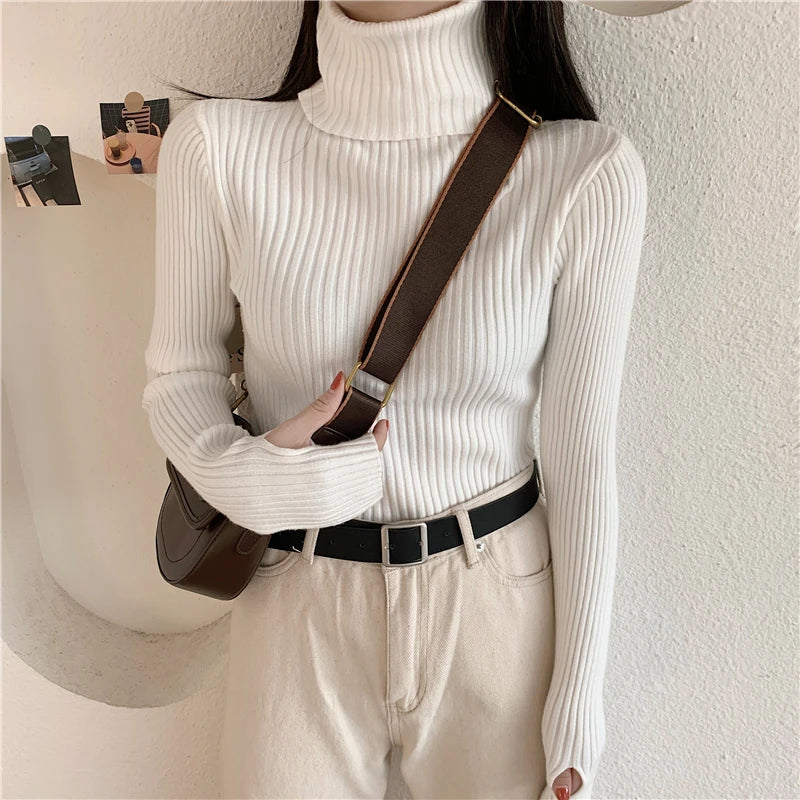 2024 Winter Knitted Turtleneck Sweater