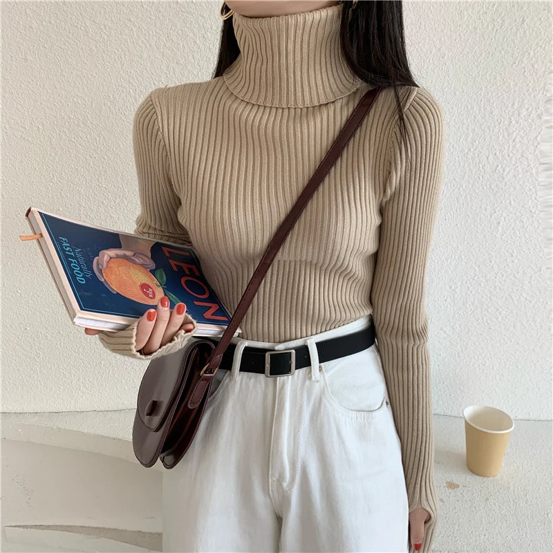 2024 Winter Knitted Turtleneck Sweater