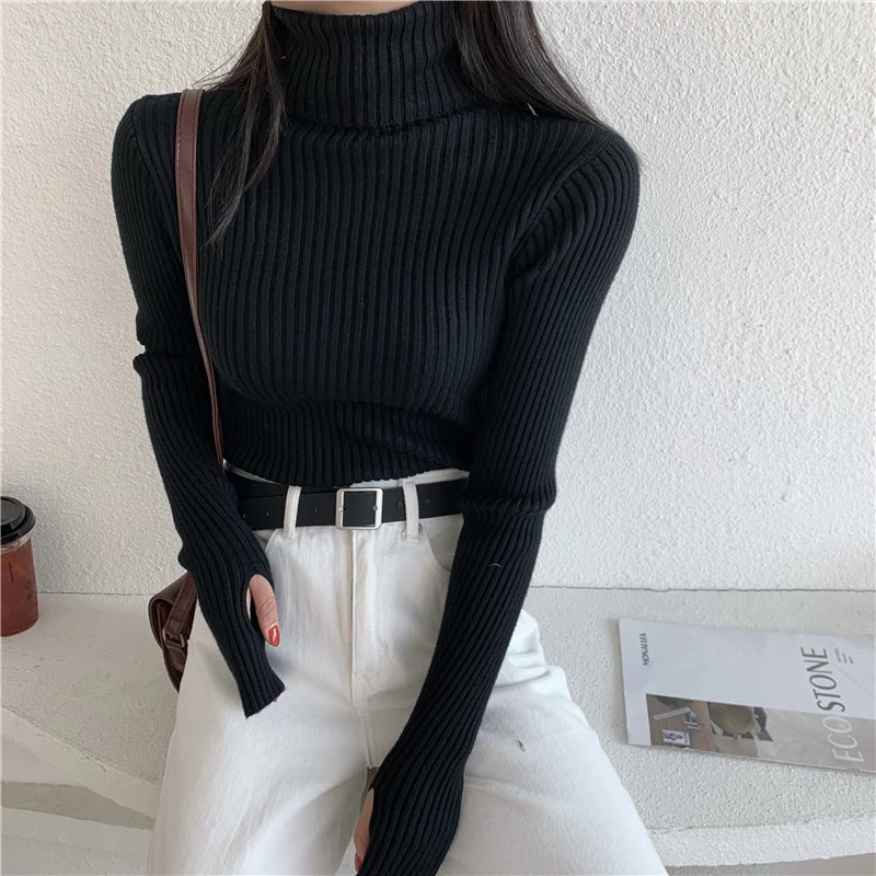 2024 Winter Knitted Turtleneck Sweater