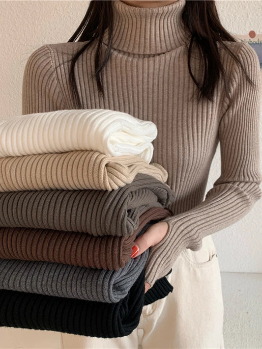 2024 Winter Knitted Turtleneck Sweater