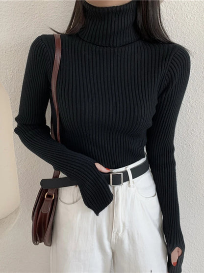 2024 Winter Knitted Turtleneck Sweater