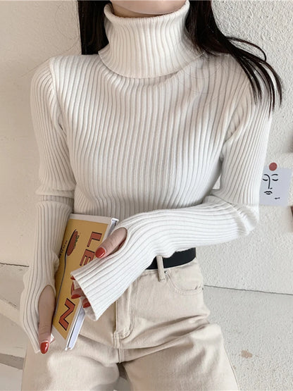 2024 Winter Knitted Turtleneck Sweater