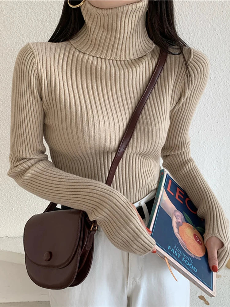 2024 Winter Knitted Turtleneck Sweater