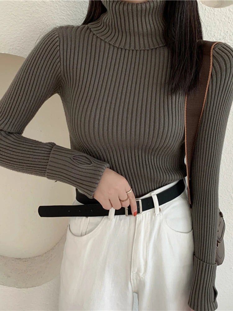 2024 Winter Knitted Turtleneck Sweater