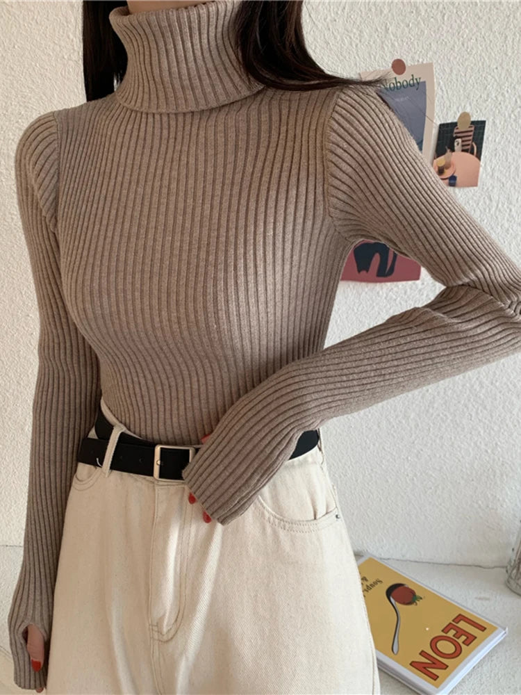 2024 Winter Knitted Turtleneck Sweater