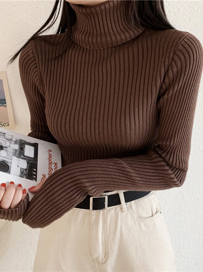 2024 Winter Knitted Turtleneck Sweater