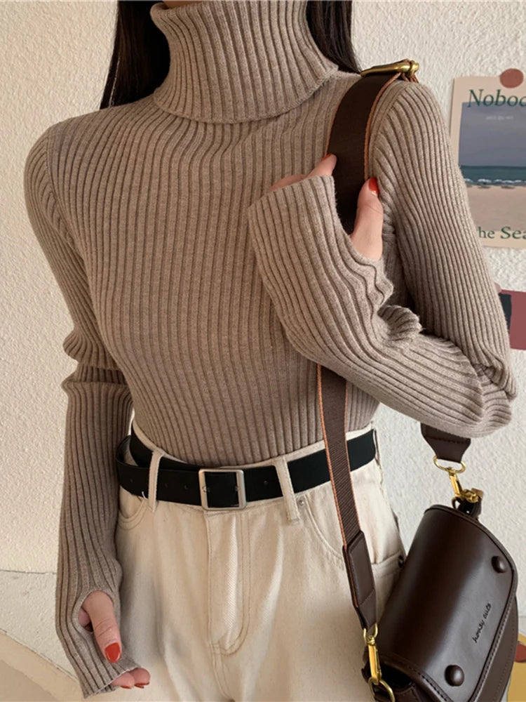 2024 Winter Knitted Turtleneck Sweater