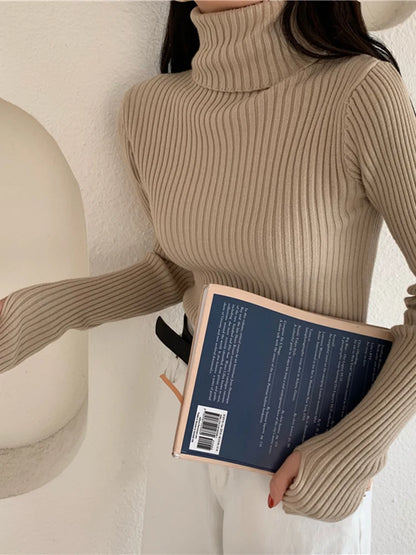 2024 Winter Knitted Turtleneck Sweater